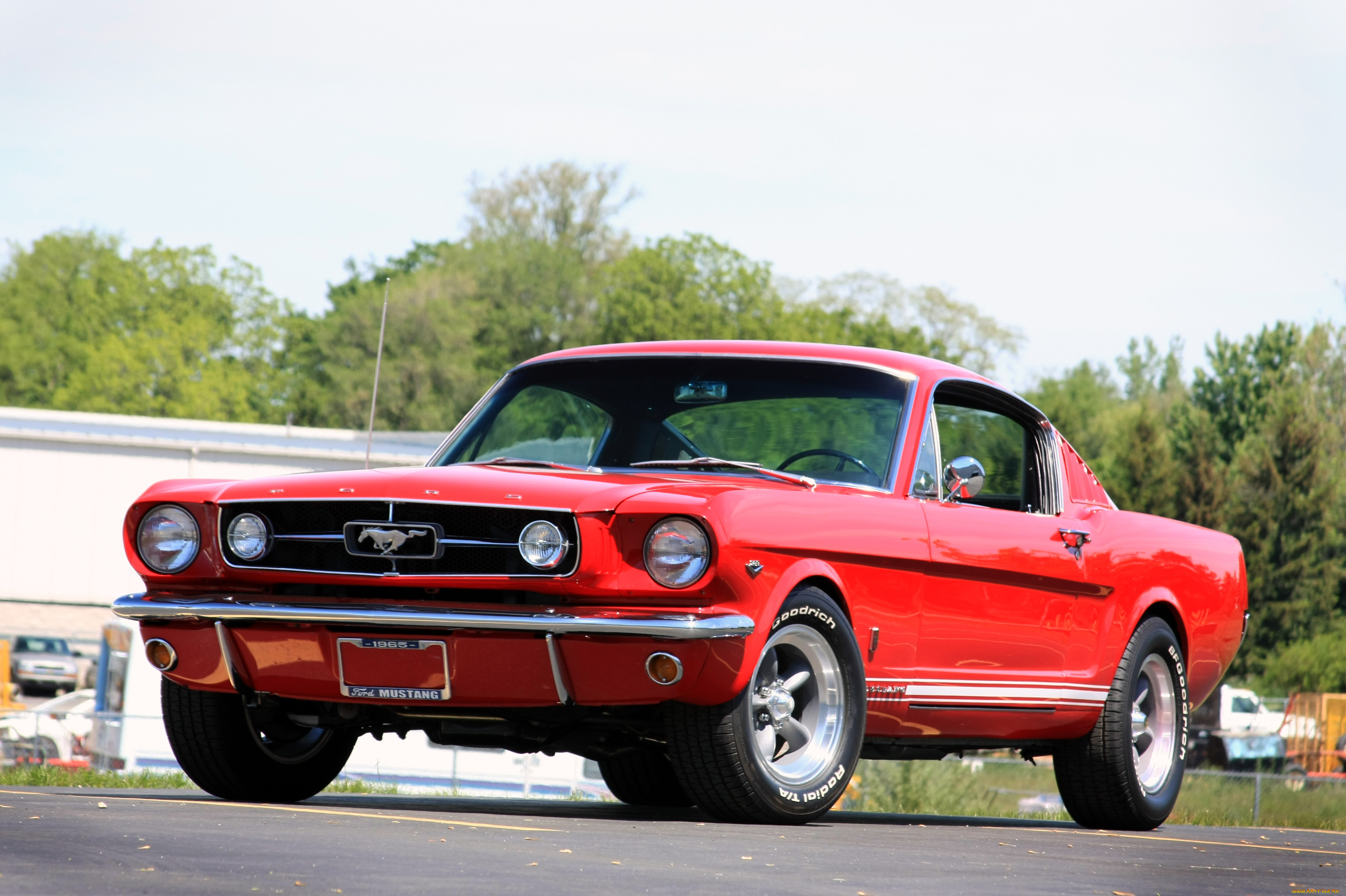 , mustang